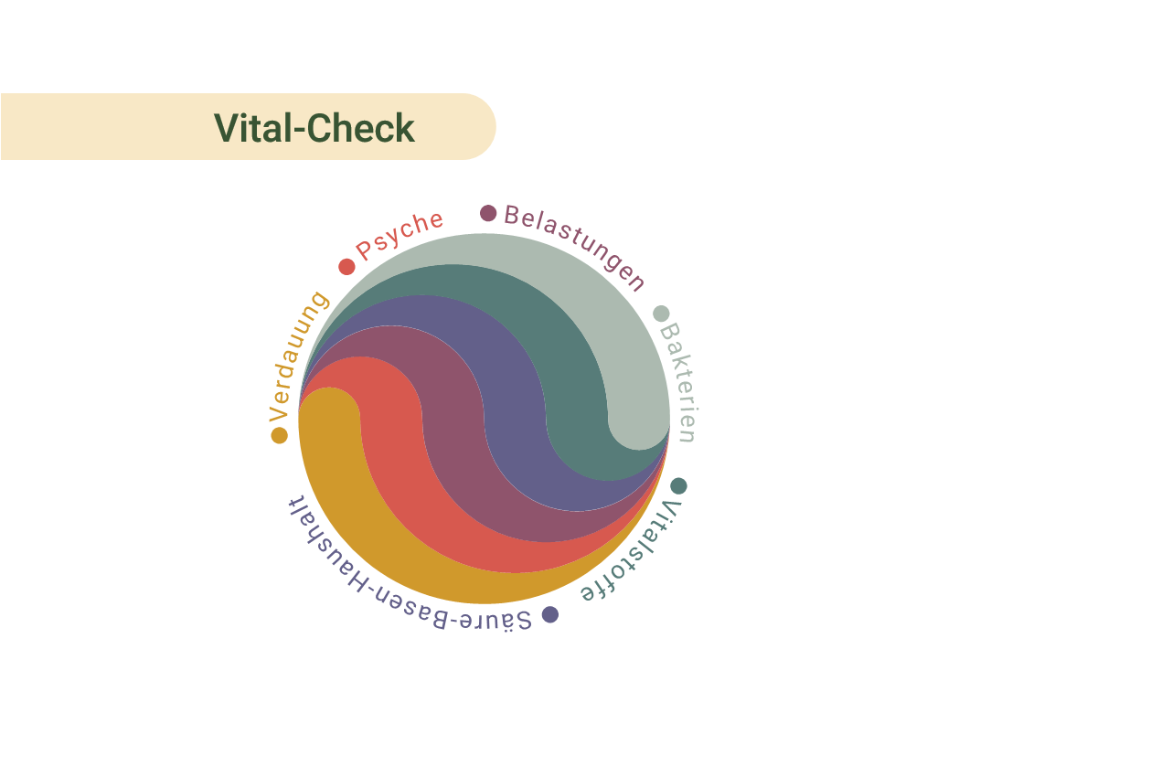 Mehr über den Artikel erfahren Darm, Milieu, Vitamine, Entgiftung – Gesundheit per Vital-Check